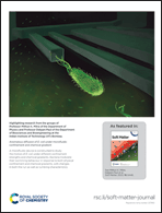 Graphical abstract: Back cover