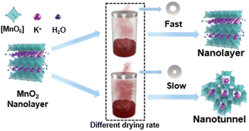 Graphical abstract: The directional structure transition of MnO2 during the drying process