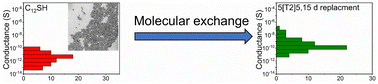 Graphical abstract: Ordered arrays of gold nanoparticles crosslinked by dithioacetate linkers for molecular devices