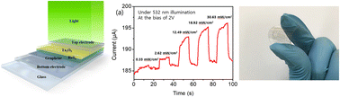 Graphical abstract: Enhanced performance of a photodetector based on a graphene/CVD-grown dendritic ReS2/Ta2O5 vertical heterojunction