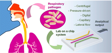 Graphical abstract: Microfluidic methods for the diagnosis of acute respiratory tract infections
