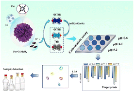 Graphical abstract: A porphyrin-modified CoMoO4 nanosensor array for the detection of crude baijiu