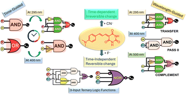 Graphical abstract: Exploring the time-dependent and wavelength-guided tunable binary and ternary logic behaviours of a charge-transfer probe
