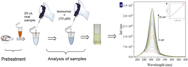 Graphical abstract: A synchronous-fluorescence analysis method combing with simple one-step extraction for determination of leonurine in traditional Chinese medicine
