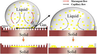 Graphical abstract: Design and fabrication of superhydrophobic microstructured grooved substrates to suppress the coffee-ring effect and enhance the stability of Sr element detection in liquids using LIBS