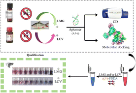 Graphical abstract: A label-free colorimetric aptasensor for rapid multiplex detection of leuco-malachite green and leuco-crystal violet