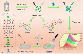 Graphical abstract: A “turn-on” fluorescent sensor for the selective detection of erythromycin in aqueous solution