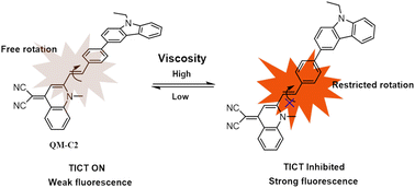Graphical abstract: A quinoline-malononitrile-based fluorescent probe with aggregation-induced emission effect for the in vivo monitoring of viscosity