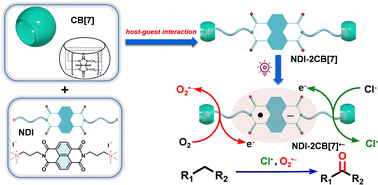 Graphical abstract: A supramolecular naphthalenediimide radical anion through host–guest interactions for photooxidation of alkylarenes to carbonyls
