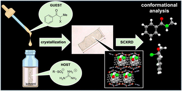 Graphical abstract: Hydrogen-bonded frameworks for conformational analysis of reactive substrates