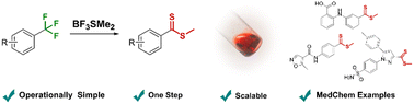 Graphical abstract: Defluorinative thio-functionalization: direct synthesis of methyl-dithioesters from trifluoromethylarenes