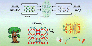 Graphical abstract: Scale-up synthesis of amorphous Ni–Fe tungstate for highly-efficient oxygen evolution reaction