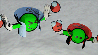 Graphical abstract: Crystal structures of potassium and cesium salts of adenine: the role of alkali cations