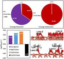 Graphical abstract: Comprehensive understanding of ethylene epoxidation on copper catalysts: a microkinetic study with coverage effects