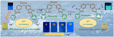 Graphical abstract: Modulation in the charge transfer characteristics of flexible bis-benzimidazole probes: independent sensing mechanisms for Hg2+ and F−
