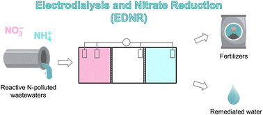 Graphical abstract: Electrodialysis and nitrate reduction (EDNR) to enable distributed ammonia manufacturing from wastewaters