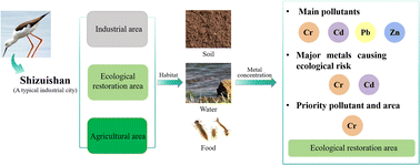 Graphical abstract: Heavy metal exposure risk to black-winged stilt (Himantopus himantopus) in a typical industrial city in northwest of China