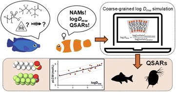 Graphical abstract: Predicting aquatic toxicity of anionic hydrocarbon and perfluorinated surfactants using membrane-water partition coefficients from coarse-grained simulations