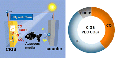 Graphical abstract: Origin of photoelectrochemical CO2 reduction on bare Cu(In,Ga)S2 (CIGS) thin films in aqueous media without co-catalysts