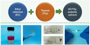 Graphical abstract: Innovative green synthesis of hydrophobic covalent networks using ethyl cellulose/thymol eutectic systems