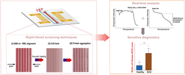 Graphical abstract: Acoustic probing of new biomarkers for rapid sickle cell disease screening