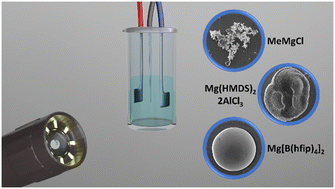 Graphical abstract: Electrolyte-dependent deposition morphology on magnesium metal utilizing MeMgCl, Mg[B(hfip)4]2 and Mg(HMDS)2–2AlCl3 electrolytes