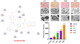 Graphical abstract: Synthesis and antifungal evaluation of new azole derivatives containing 1,2,3-triazole