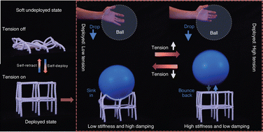 Graphical abstract: Self-deployable contracting-cord metamaterials with tunable mechanical properties
