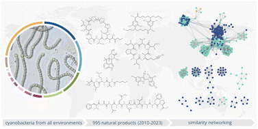 Graphical abstract: Chemical diversity of cyanobacterial natural products