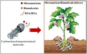 Graphical abstract: Carbon-based nanocarriers for plant growth promotion: fuelling when needed