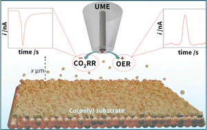 Graphical abstract: Anodic expulsion of Cu nanoparticles from a polycrystalline Cu substrate: a novel corrosion and single entity study approach