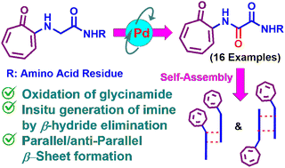 Graphical abstract: Non-benzenoid N-aryl oxalamide: synthesis of troponyl-oxalamide peptides by Pd(ii)-catalyzed C(sp3)–H functionalization of glycinamides