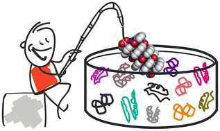 Graphical abstract: Interrogating the potential of helical aromatic foldamers for protein recognition