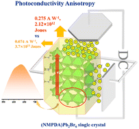 Graphical abstract: Methylated diammonium spacer modulated three-dimensional lead bromide perovskitoid hybrids with distinct photoconductivity anisotropy