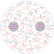 Graphical abstract: Recent advances in catalytic asymmetric reactions of Morita–Baylis–Hillman adducts