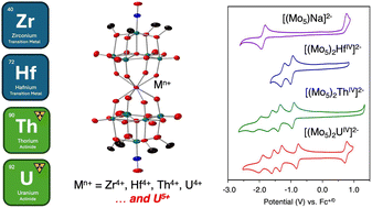 Graphical abstract: Leveraging a reduced polyoxomolybdate-alkoxide cluster for the formation of a stable U(v) sandwich complex