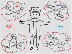 Graphical abstract: Quantifying variation in cooperative B–H bond activations using Os(ii) and Os(iii) κ2-N,S-chelated complexes: same, but different