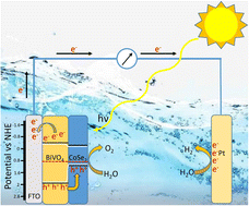 Graphical abstract: Electrodeposited CoSe2 supported on BiVO4 as an efficient photoanode for the enhanced photoelectrochemical water oxidation