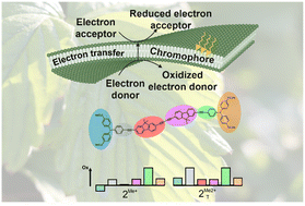 Graphical abstract: Light-driven electron transfer in a lipid bilayer with mixed valence molecular wires