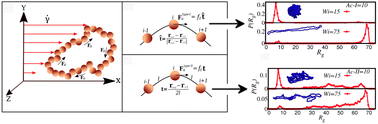 Graphical abstract: Shear flow as a tool to distinguish microscopic activities of molecular machines in a chromatin loop