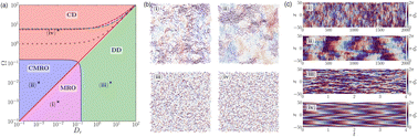Graphical abstract: Emergent mesoscale correlations in active solids with noisy chiral dynamics