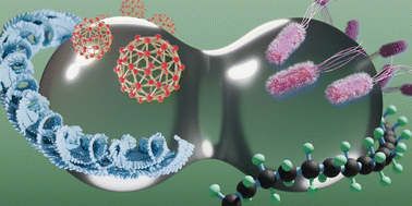 Graphical abstract: The yoga of droplets: coalescence in complex fluids