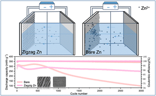 Graphical abstract: Electric field distribution regulation of a zinc anode toward long cycle life zinc metal batteries