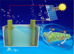 Graphical abstract: Inter-atomic electronic interactions enabled by a Rh single atoms/CuCo2S4@MoS2 core–shell heterostructure for high-efficiency solar-assisted water splitting