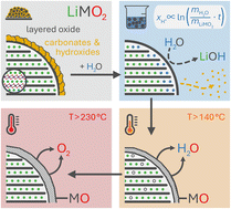 Graphical abstract: Effect of washing on nickel-rich NCMs: methodology to quantify the lithium/proton-exchange kinetics, the inserted protons, and the structural changes