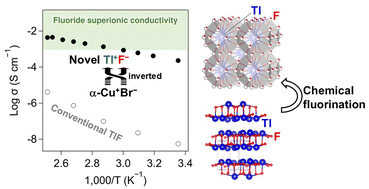 Graphical abstract: Fluoride superionic conduction in TlF with the new anti-α-CuBr structure containing intrinsic F vacancies