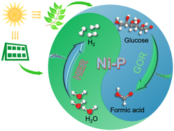 Graphical abstract: Efficient electrocatalytic glucose oxidation coupled water electrolysis driven by Ni-foam supported Ni–P nanowire arrays