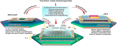 Graphical abstract: Electrocatalytic microdevices based on transition metal dichalcogenides for hydrogen evolution