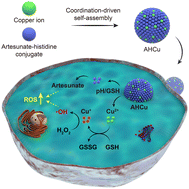 Graphical abstract: A self-assembled copper-artemisinin nanoprodrug as an efficient reactive oxygen species amplified cascade system for cancer treatment