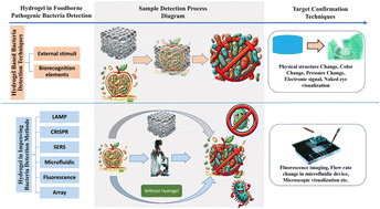 Graphical abstract: Development and application of hydrogels in pathogenic bacteria detection in foods
